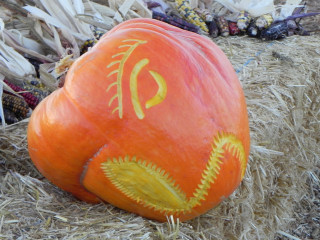 Piranha Bird, Nipomo Pumpkin Patch best carving idea